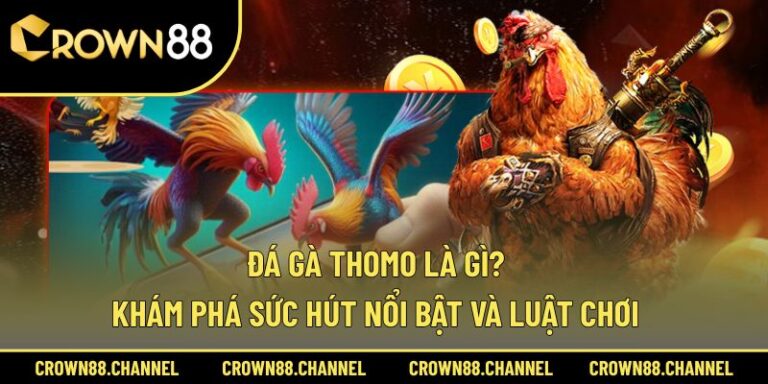 Đá Gà Thomo Là Gì? Khám Phá Sức Hút Nổi Bật Và Luật Chơi