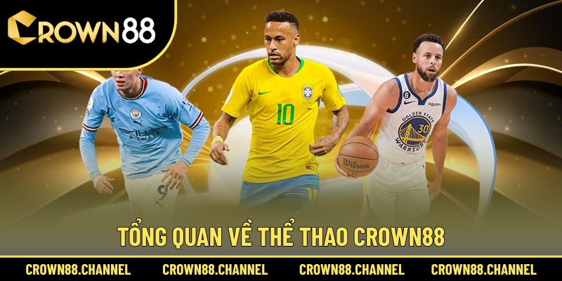 Thể thao 1 Giới thiệu về thể thao Crown88