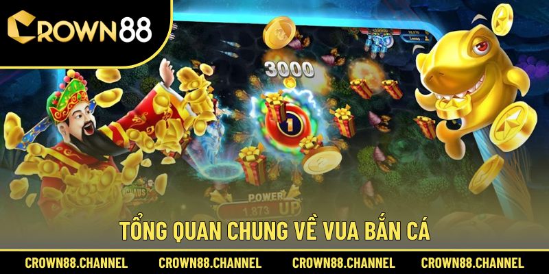 Đôi nét chung về Vua Bắn Cá